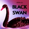 Black Swan-Radio Edit