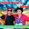 About Nunta In Cartier Song