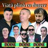 About Viata Asta-I Tare Rece Song