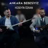 About Ankara Bebesiyiz Song