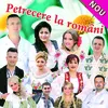 About Tot Ma-Ntreb Doamne, De-O Vreme Song