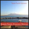 About Santa lucia luntana Song