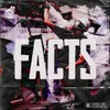 About Facts Song