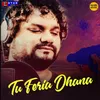 About Tu Feria Dhana Song