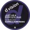 About Someday-Harris & Hurr Remix Song