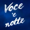 Voce 'e notte