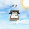 About Kush Song