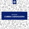 Cumbia Cienaguera-Radio Edit