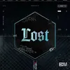 Lost-DJ Spinn Remix