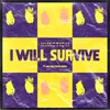 About I Will Survive Song