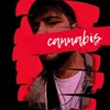 About Cannabis Song