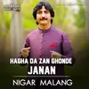 About Hagha Da Zan Ghonde Janan Song