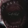 About Shark Song