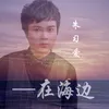 About 在海边-电音版 Song