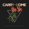 About Carry Me Home Song