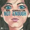 About Not Enough Song