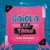 About Gaiola É o Troco-Pedro Bernadino Remix Song