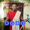 About Dodo Song