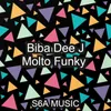 About Molto Funky Song