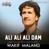 About Ali Ali Ali Dam Song