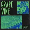 About Grapevine Song