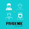 About Pandémie Song