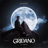 About Gridano Song