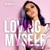 Loving Myself-Fryer Remix