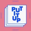 About Put It Up Song