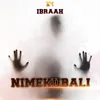 About Nimekubali Song