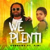 About We Plenti Song