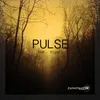 Pulse-Yad Version