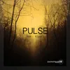 Pulse-Riggel Version