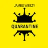 About Quarantine Song