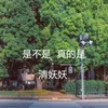 About 是不是 真的是 Song