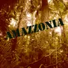 About Amazzonia Song