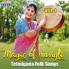 About Telangana Lo Putti Poola Song