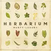 Herbarium Intro