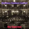 About Hey Superman Song