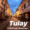 About Tulay Song