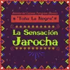 Lamento Jarocho