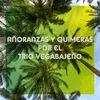 Añoranzas y Quimeras