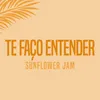 About Te Faço Entender Song