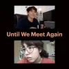 About Until We Meet Again Song