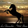 La chevauchée-Long Wild Horse