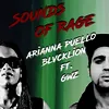 About Sounds of Rage Song