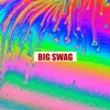 About BIG SWAG Song
