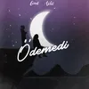 About Ödemedi Song