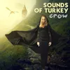 About Sounds Of Turkey Song