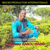 About Professeur Babou Niang Song